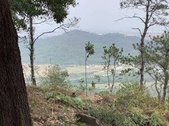 -风云岭森林公园