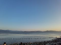 -深圳湾公园(南山区)