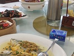 -泉龙渔村·粤式早茶·金牌烧鹅(中山三乡店)