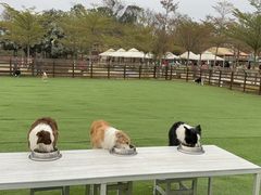 -盈香心动乐园