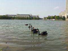 -江南大学(蠡湖校区)