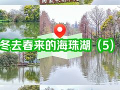 -海珠湖公园