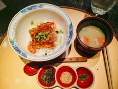 鳗鱼龙虾饭-地球美食剧场