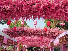 -南汇桃花村