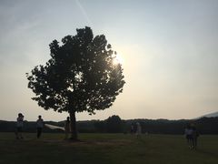 -钟山体育运动公园