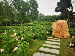 -长春公园(普阳街道)