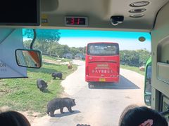 -西安秦岭野生动物园