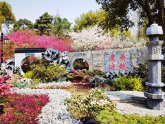 -苏州上方山国家森林公园