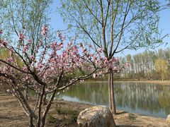 -东郊湿地公园