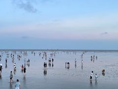 -奉贤海滩