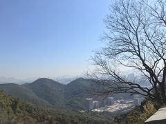 -胡须佬鸡煲四季火锅(龙珠大道店)