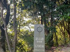 -梧桐山风景名胜区