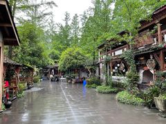 -青城甲(青城山店)