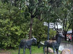 -溱湖国家湿地公园