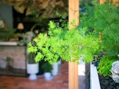 -翠贝卡&Mama Kelly Brunch Coffee(河西店)