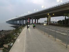 -宝安西湾红树林湿地公园