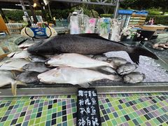 -渔家火锅·海鲜自助餐·演艺(亚龙湾天域酒店)