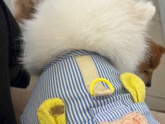 -怪兽屋·羊驼·猫咖·狗咖(俊华广场店)