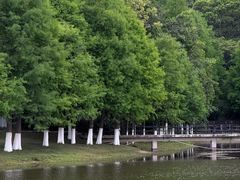 -厦门国家会计学院