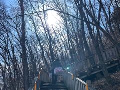 -帽儿山国家森林公园