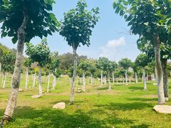 -三亚南山文化旅游区