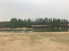 -秀丽东方