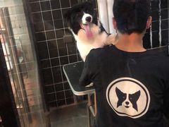 -Goku PET SHOP宠物视觉生活馆(双井店)