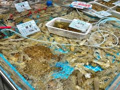 -旺角小渔村·海肠捞饭开创者(二马路店)
