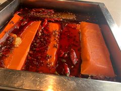 -红鼎坊·老成都火锅(新南门店)