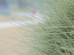 -二沙岛艺术公园