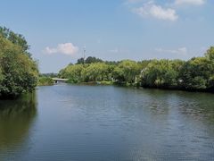 -溱湖国家湿地公园