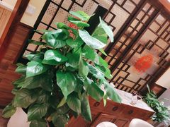 -西贝(六里桥旗舰店)
