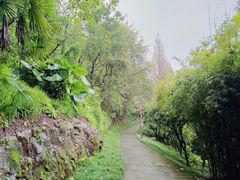 -重庆彩云湖湿地公园