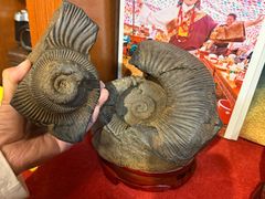-吉祥圣雪藏餐