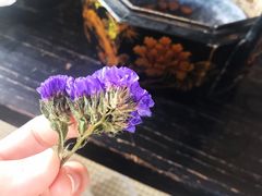 -禅射堂(嘉善越里店)