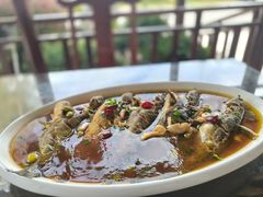 -呼吸森林·生态农庄农家乐私房菜