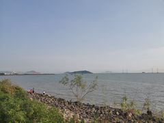 -宝安西湾红树林湿地公园