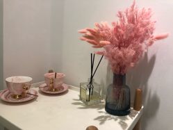 -紫御国际抗衰ZOE ANTI AGING