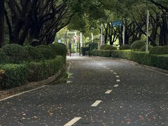 -羊山湖公园