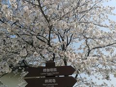 -苏州上方山国家森林公园