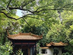 -广州兰圃