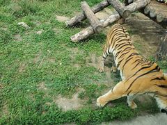 -西安秦岭野生动物园