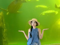-广东惠东海龟国家级自然保护区