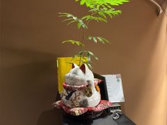 -泰·菩提树下[泰式按摩x精油SPAx肩颈头疗](新景店)
