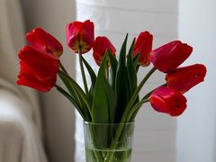 -海友酒店(北京雍和宫地铁站店)