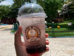 -史努比缤纷世界