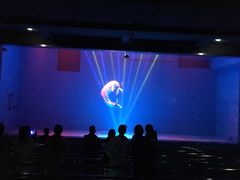 -芜湖新华联大白鲸海洋公园