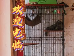 -元氏钵仔糕(北京路店)