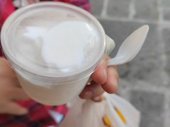 -洪馨椰子