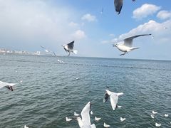-大理洱海